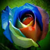 beccamart810